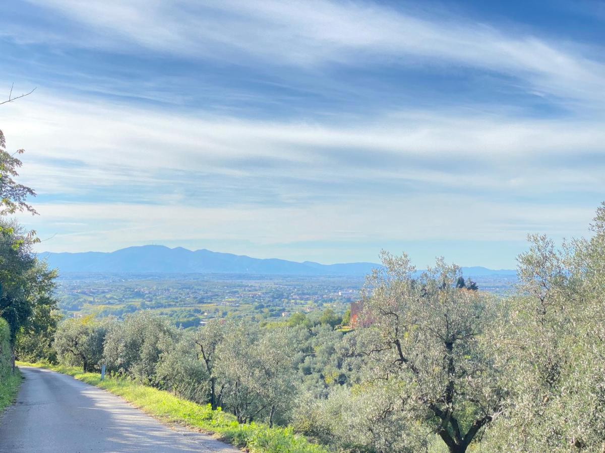 Leonardo Da Vinci - Appartamento Nel Verde Con Parcheggio E Wi-Fi Zewnętrze zdjęcie